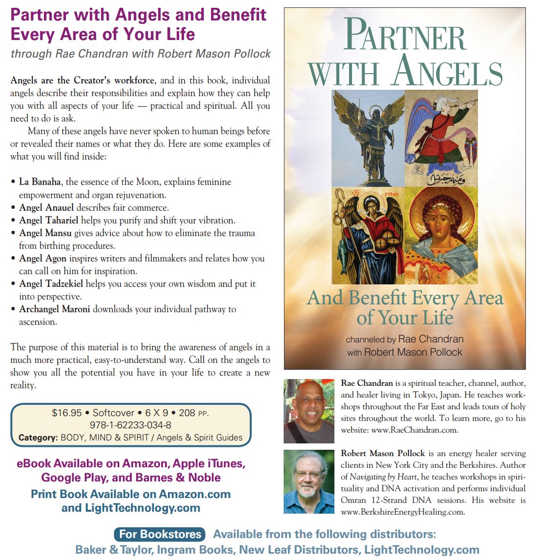 Partner with Angels book cover